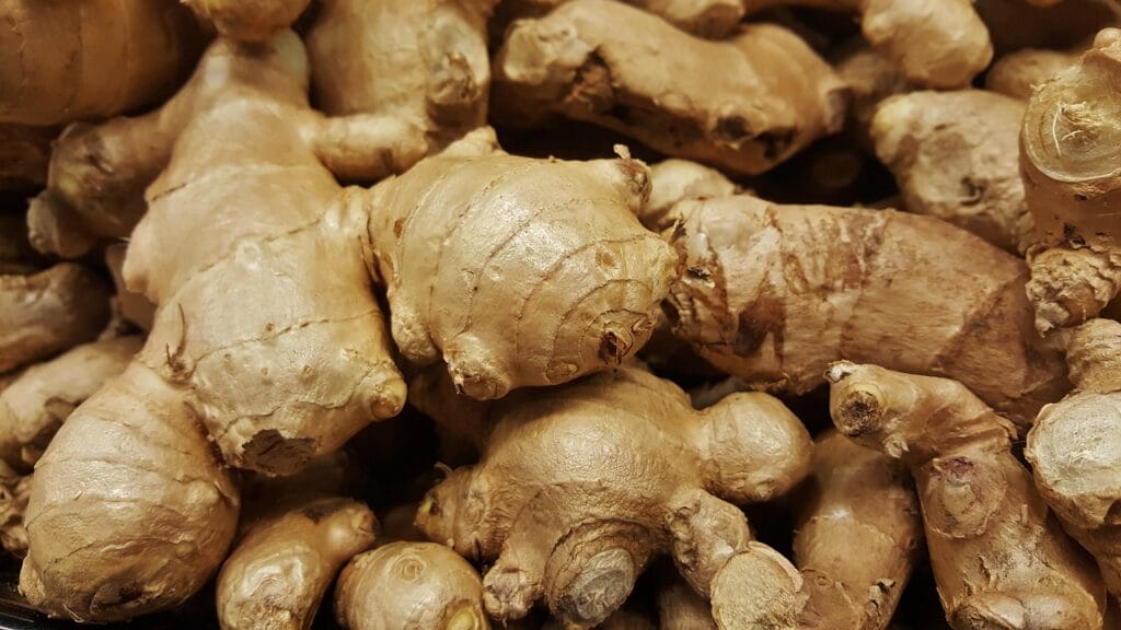 bangle - Bangle ginger, root, spice, herb, ingredient, seasoning, spicy, food, raw, herbal, asian cooking, cook, aromatic, cuisine, healthy, vegetable, root vegetable, edible, rhizome, zingiber officinale, brown food, brown cooking, brown vegetables, brown healthy, ginger, ginger, ginger, ginger, ginger