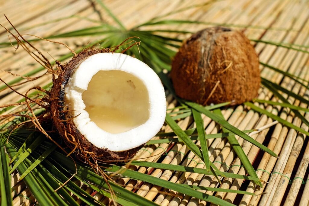 minyak kelapa murni - Minyak Kelapa Murni coconut, nut, shell, brown, pulp, exotic, coconut, coconut, coconut, coconut, coconut