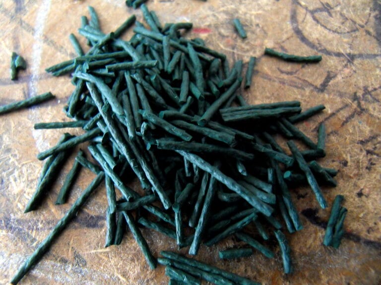 - Glosarium Spirulina