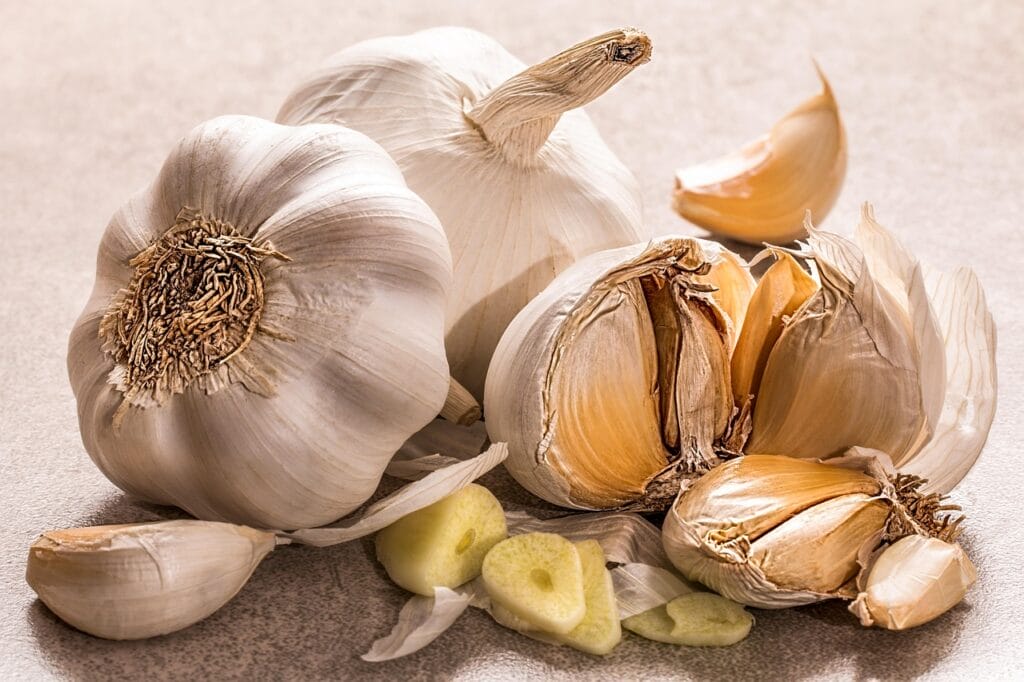 bawang putih - Bawang Putih garlic, ingredient, flavoring, seasoning, garlic cloves, cooking, culinary, garlic, garlic, garlic, garlic, garlic
