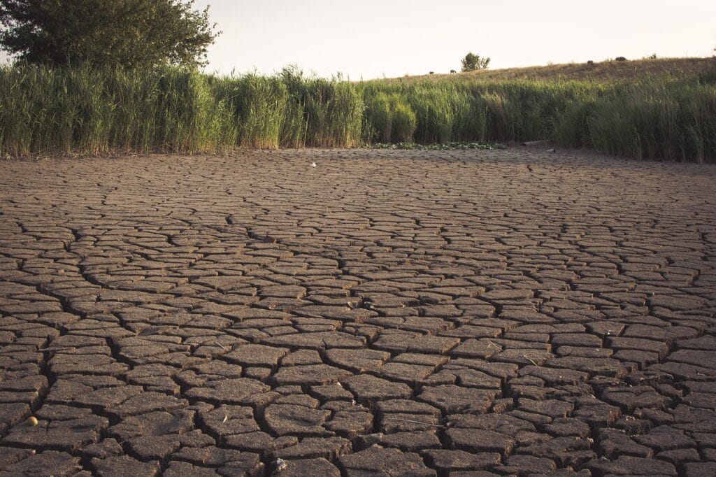 dried out, lake, dry, dryness, drought, nature, riverbank, cracks, panorama, dry season, fishes, water, landscape, summer, heat, scarcity, drought, drought, drought, drought, drought, dry season, scarcity, scarcity, scarcity