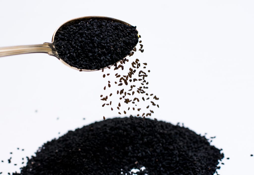 jintan hitam - Jintan Hitam jintan hitam - Jintan Hitam