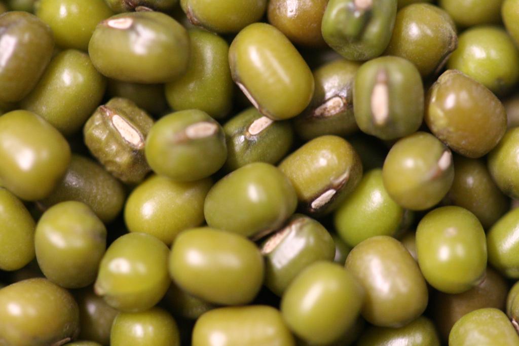 kacang hijau - Kacang Hijau